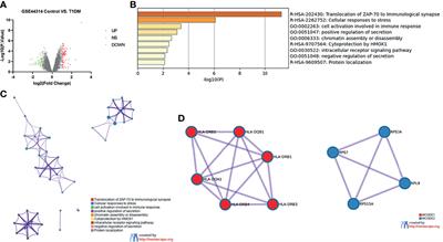 Comprehensive Analyses of Type 1 Diabetes Ketosis- or Ketoacidosis-Related Genes in Activated CD56+CD16+ NK Cells